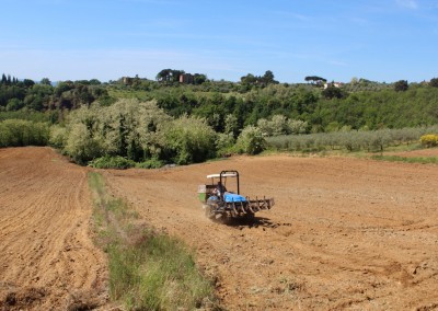 AZIENDA AGRICOLA