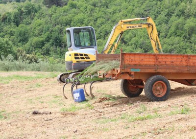 AZIENDA AGRICOLA