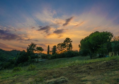 View on the fields